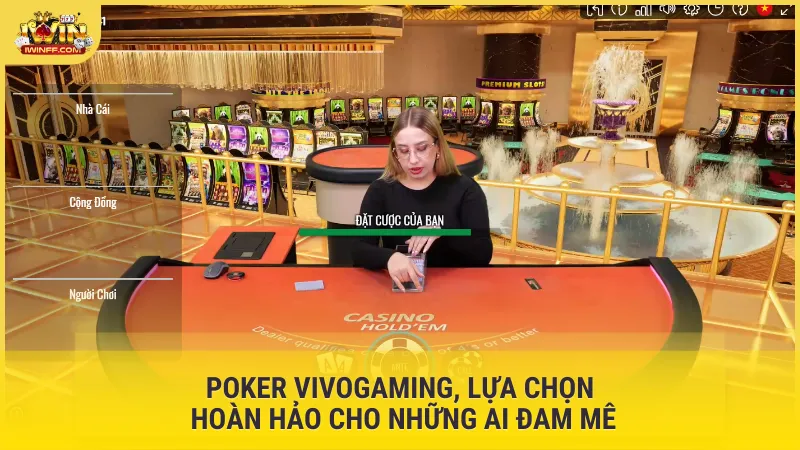 Poker Vivogaming, lựa chọn hoàn hảo cho những ai đam mê